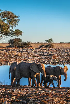 Namibie, paysages grandioses